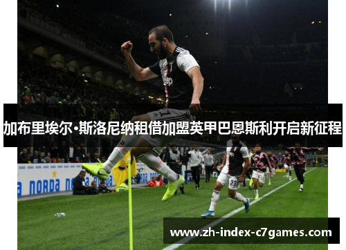 加布里埃尔·斯洛尼纳租借加盟英甲巴恩斯利开启新征程 加布里埃尔·斯洛尼纳租借加盟英甲巴恩斯利开启新征程